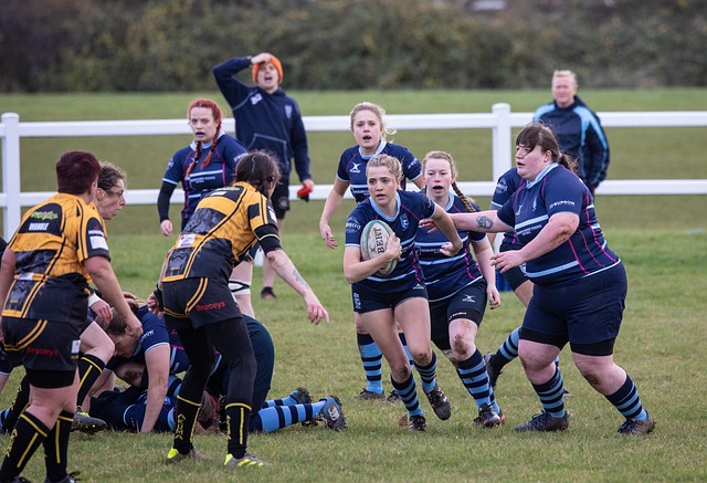 利奠定了基 利奠定了基